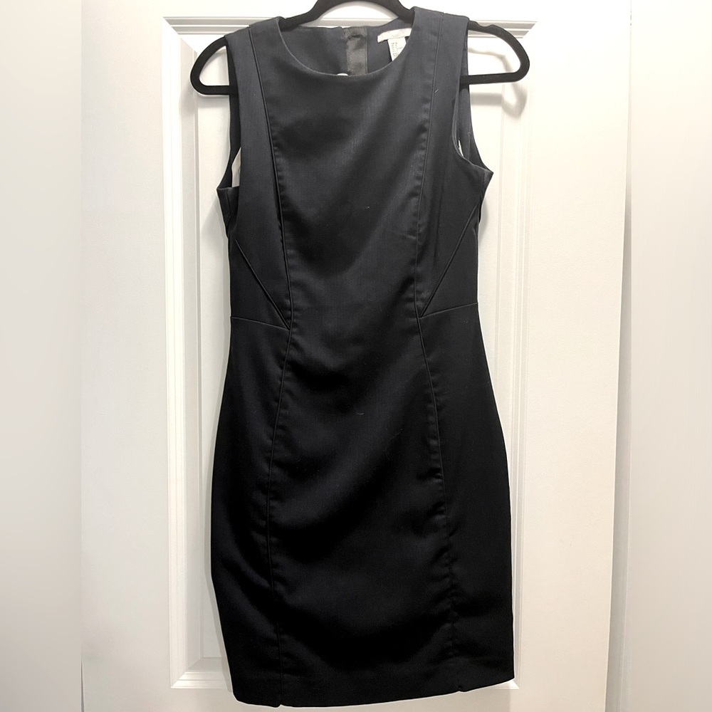 Professional H&M Dress